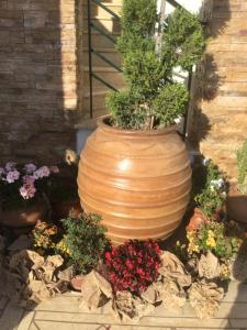 a large vase filled with plants and flowers at Panorama Apartments in Plomari