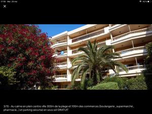 um grande edifício de apartamentos com uma palmeira em frente em Le Petit mouchoir et son garage em Sainte-Maxime