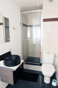 a bathroom with a sink and a toilet and a shower at STUDIO RIGAUD in Montpellier