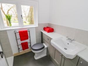 a bathroom with a sink and a toilet and a window at Wigrams Canalside Cottage in Southam