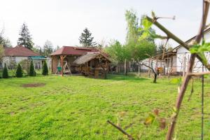 a yard with a house and a grass field at Maria Apartman in Nyíregyháza