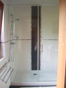 a shower with a glass door in a bathroom at Privatpension Gosaukammblick in Gosau