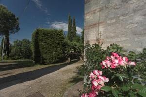 Vonkajšia záhrada v ubytovaní Relais Santa Cristina