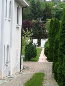 una passerella accanto a un edificio bianco con alberi di Vila Kraljica Vrdnik a Vrdnik