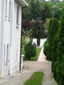 Zahrada ubytování Vila Kraljica Vrdnik + 6 fotografií