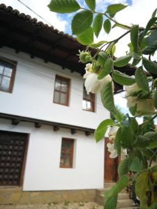Fotografie z fotogalerie ubytování Къща за гости Роден край v destinaci Elena