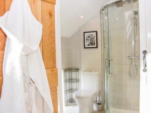 a bathroom with a shower and a toilet at Vitula Cottage in Shrewsbury +25 photos