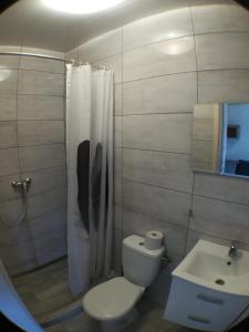 a bathroom with a toilet and a sink at Domki-Apartamenty HALS in Władysławowo