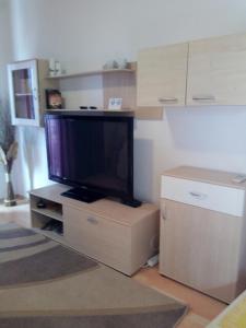 Kuchyň nebo kuchyňský kout v ubytování apartmani Mandic