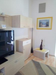 TV a/nebo společenská místnost v ubytování apartmani Mandic
