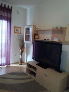 TV a/nebo společenská místnost v ubytování apartmani Mandic