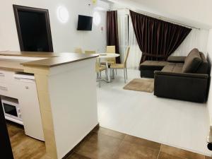 a kitchen and living room with a couch and a table at FAST Airport Accomodation in Otopeni