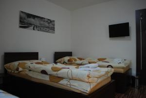 Giường trong phòng chung tại Penzion Na Dědině