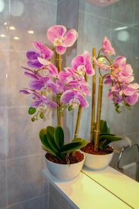 due vasi bianchi riempiti di piante di orchidee viola su uno scaffale di Sweet Dreams a Laghi di Plitvice