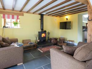 TV a/nebo společenská místnost v ubytování Tyn Llwyn Cornel