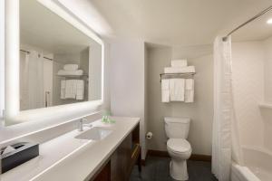 a bathroom with a sink and a toilet and a mirror at Holiday Inn & Suites Orlando SW - Celebration Area, an IHG Hotel in Orlando