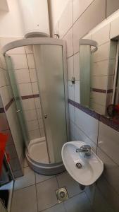 a bathroom with a sink and a shower at TREF 1 in Soko Banja