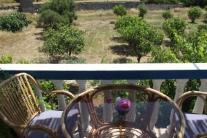 A garden outside Kalypso Apartments