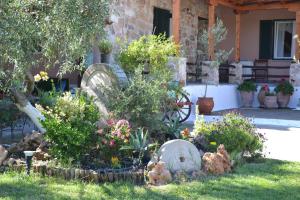 a garden with flowers and plants in front of a house at Traditional Villa Nea Peramos in Néa Péramos +60 photos