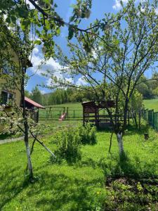 a park with a playground and a tree at Pensjonat Sabina in Koszarawa