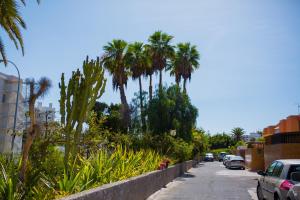 a street with palm trees on the side of a road at Calle Lanzarote 29C in Playa del Ingles