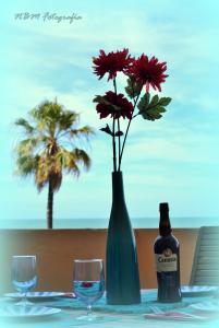 AMAZING FRONTAL BEACH APARTMENT #Traveller's Awards2023 في كاديز: زجاجة من النبيذ و مزهرية مع الزهور على الطاولة
