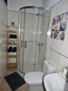 a bathroom with a shower and a toilet and a sink at Villa Elisa Plaza Mayor in Chinchón