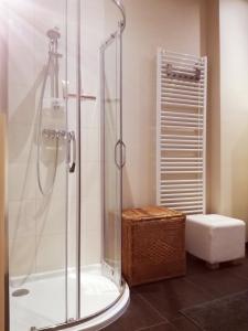 a bathroom with a shower and a toilet in it at Brugmann Loft Apartment in Brussels +10 photos