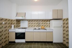 ロパールにあるApartments Marija & Linoのキッチン(白い家電製品、シンク付)