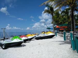 Příroda nedaleko apartmánu + 15 fotografií