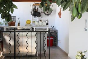 a kitchen with a counter with plants on the wall at Hotel Palacio Blanco in Vélez-Málaga