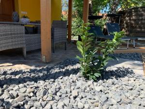 eine Pflanze in einem Haufen Steine neben einer Terrasse in der Unterkunft Apartments Banovci in Banovci