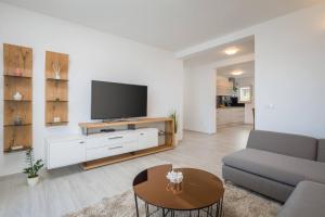 Televízia a/alebo spoločenská miestnosť v ubytovaní Apartment Apollo 3