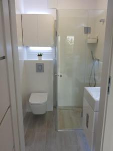 een badkamer met een toilet en een glazen douche bij Sztutowo Apartament Jaś in Sztutowo