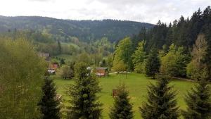 Príroda v okolí dovolenkového domu