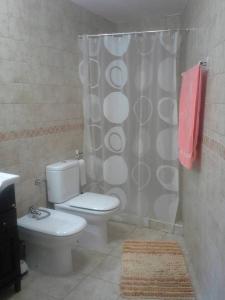 a bathroom with a toilet and a shower curtain at APARTAMENTO FONTELLAS-AYERBE in Fontellas