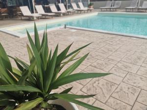 The swimming pool at or close to The Mathraki Studios
