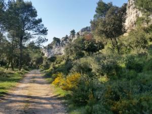 a dirt road with trees and mountains in the background at Domaine L'Orgalière in Orgon