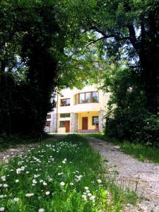 une maison au milieu d'un champ de fleurs dans l'établissement Vila Liana, à Braşov