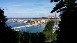 vista su un porto con barche in acqua di Piraneska a Piran