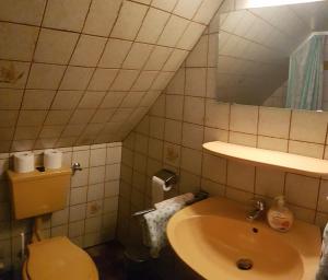 Un baño con lavabo, inodoro y espejo. en Hausnordlicht Dachspitze 2, en Dornumergrode 12 fotos más