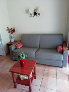 a living room with a couch and a table at Appartement Le parc d Arradoy in Saint-Jean-Pied-de-Port