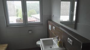 a bathroom with a sink and two windows at Eifel Ferienwohnung in Pomster +7 photos