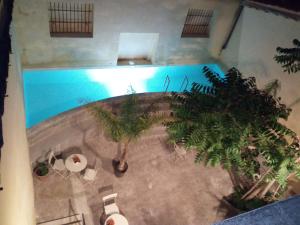 een kamer met uitzicht over een zwembad met bomen bij B&B Porta Carolina in Palermo
