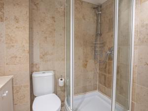 ein Badezimmer mit Toilette und Dusche in der Unterkunft Jot Cottage in Salcombe + 12 Fotos
