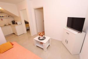 Kuchnia lub aneks kuchenny w obiekcie Apartments Palaziol