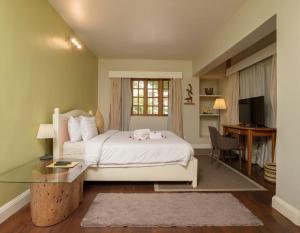 Olma Colonial Suites في آكرا: غرفة نوم بسرير ومكتب وتلفزيون