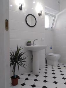 Un baño con lavabo, inodoro y espejo. en Mtatsminda, en Tiflis 17 fotos más