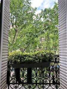 a balcony with a potted plant on a fence at Hotel De Suez in Paris