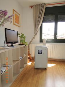 a living room with a television and a tv stand at Apartament Besalú in Besalú